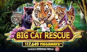 Big Cat Rescue Megaways slot 090 bet vip
